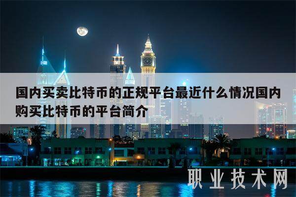 国内买卖比特币的正规平台最近什么情况国内购买比特币的平台简介-第1张图片-欧意易下载