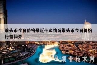拳头币今日价格最近什么情况拳头币今日价格行情简介