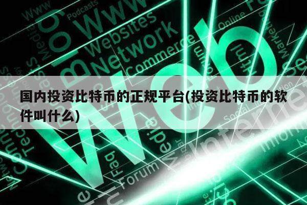 国内投资比特币的正规平台(投资比特币的软件叫什么)-第1张图片-欧意易下载