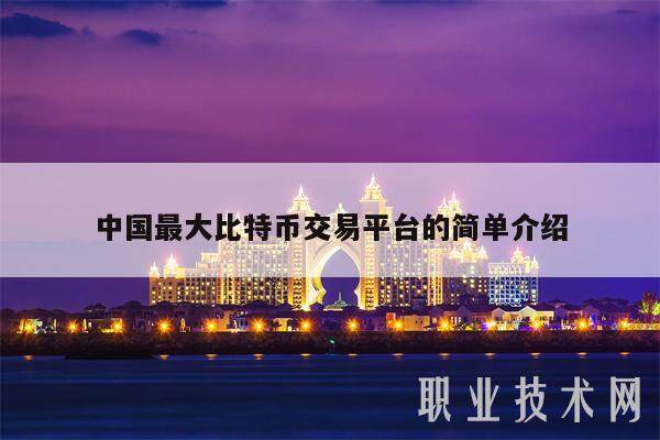中国最大比特币交易平台的简单介绍-第1张图片-欧意易下载