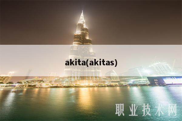 akita(akitas)-第1张图片-欧意易下载
