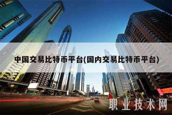 中国交易比特币平台(国内交易比特币平台)-第1张图片-欧意易下载