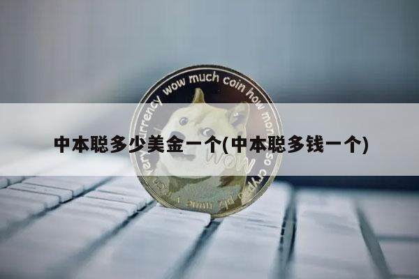 中本聪多少美金一个(中本聪多钱一个)-第1张图片-欧意易下载