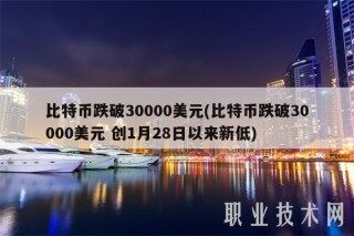 比特币跌破30000美元(比特币跌破30000美元 创1月28日以来新低)