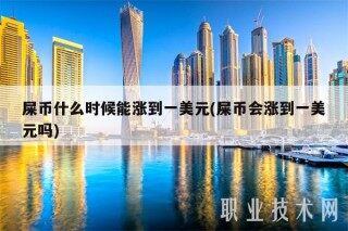 屎币什么时候能涨到一美元(屎币会涨到一美元吗)