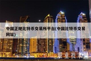 中国正规比特币交易所平台(中国比特币交易网址)