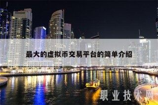最大的虚拟币交易平台的简单介绍