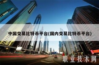 中国交易比特币平台(国内交易比特币平台)