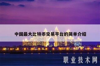 中国最大比特币交易平台的简单介绍