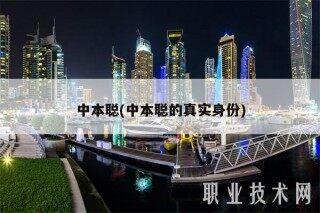 中本聪(中本聪的真实身份)