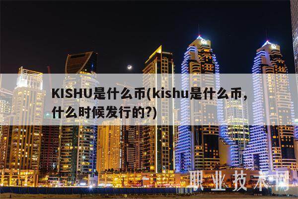 KISHU是什么币(kishu是什么币,什么时候发行的?)-第1张图片-欧意易下载