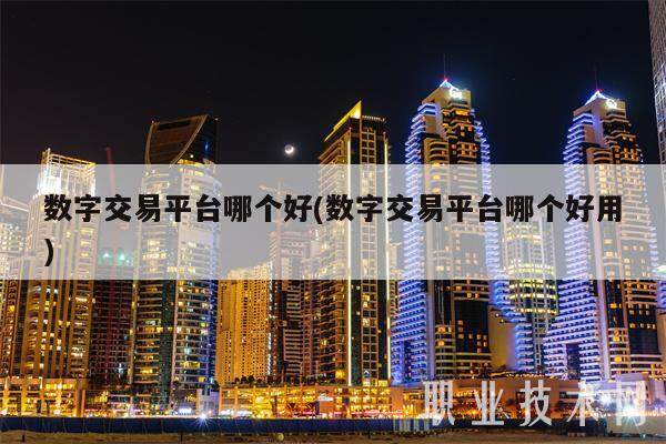 数字交易平台哪个好(数字交易平台哪个好用)-第1张图片-欧意易下载