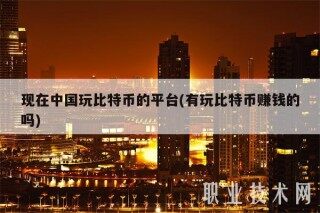 现在中国玩比特币的平台(有玩比特币赚钱的吗)
