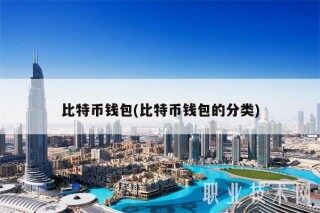 比特币钱包(比特币钱包的分类)