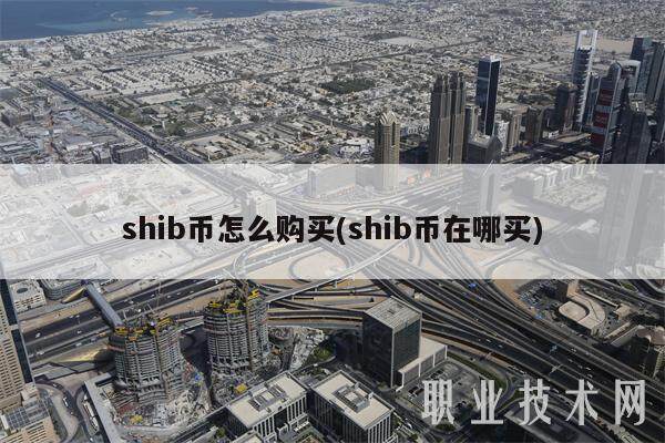 shib币怎么购买(shib币在哪买)-第1张图片-欧意易下载