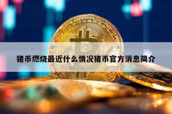 猪币燃烧最近什么情况猪币官方消息简介-第1张图片-欧意易下载