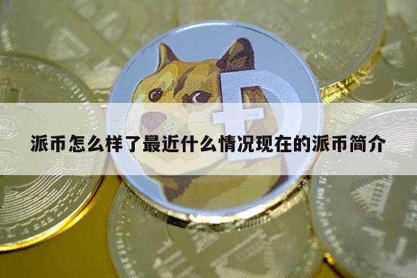 派币怎么样了最近什么情况现在的派币简介-第1张图片-欧意易下载