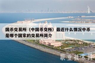 国币交易所（中国币交所）最近什么情况中币是哪个国家的交易所简介