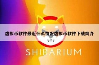 虚拟币软件最近什么情况虚拟币软件下载简介