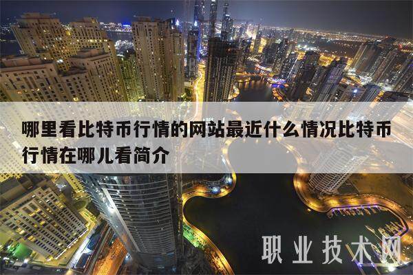 哪里看比特币行情的网站最近什么情况比特币行情在哪儿看简介-第1张图片-欧意易下载