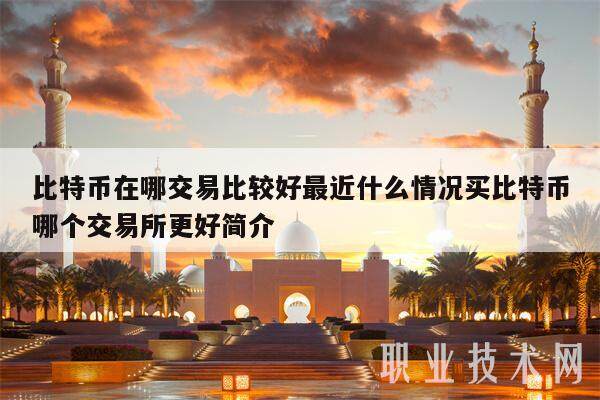 比特币在哪交易比较好最近什么情况买比特币哪个交易所更好简介-第1张图片-欧意易下载