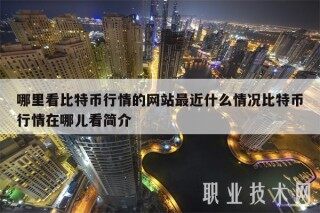 哪里看比特币行情的网站最近什么情况比特币行情在哪儿看简介