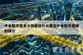 中本聪币值多少钱最近什么情况中本聪币是哪的简介