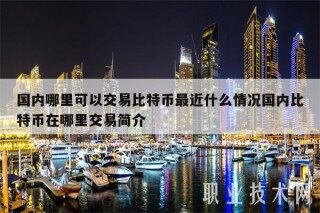 国内哪里可以交易比特币最近什么情况国内比特币在哪里交易简介