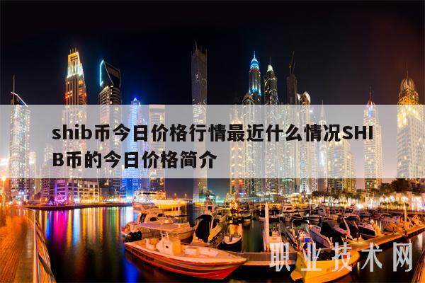 shib币今日价格行情最近什么情况SHIB币的今日价格简介-第1张图片-欧意易下载