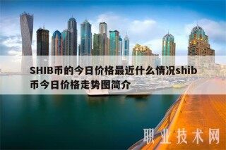 SHIB币的今日价格最近什么情况shib币今日价格走势图简介