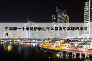 中本聪一个币价格最近什么情况中本聪的币简介