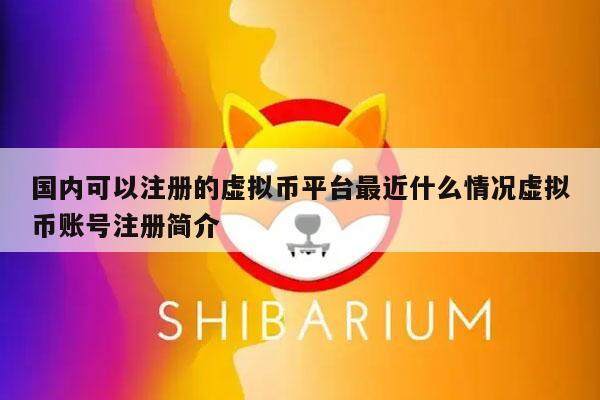 国内可以注册的虚拟币平台最近什么情况虚拟币账号注册简介-第1张图片-欧意易下载