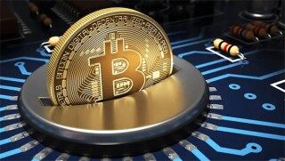 IN币近期的行情如何