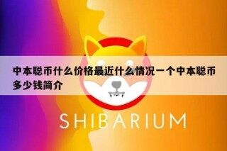 中本聪币什么价格最近什么情况一个中本聪币多少钱简介