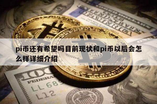 pi币还有希望吗目前现状和pi币以后会怎么样详细介绍-第1张图片-欧意易下载