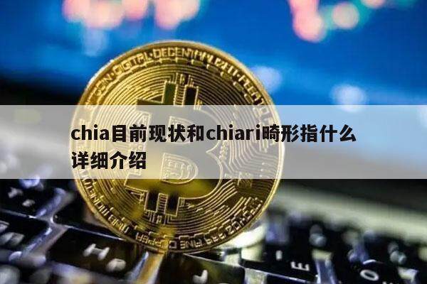 chia目前现状和chiari畸形指什么详细介绍-第1张图片-欧意易下载