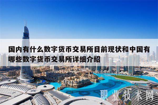 国内有什么数字货币交易所目前现状和中国有哪些数字货币交易所详细介绍-第1张图片-欧意易下载