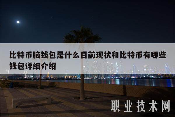 比特币脑钱包是什么目前现状和比特币有哪些钱包详细介绍-第1张图片-欧意易下载