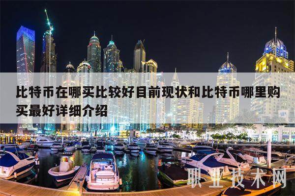 比特币在哪买比较好目前现状和比特币哪里购买最好详细介绍-第1张图片-欧意易下载
