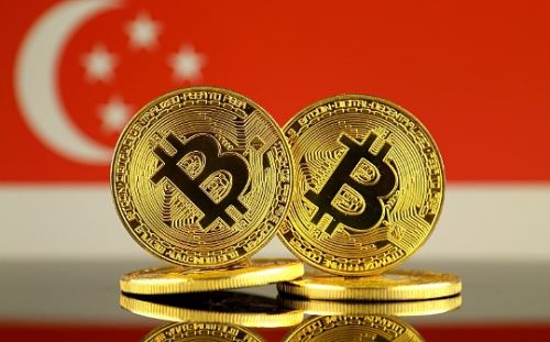 ADA币是什么?ADA的机构投资者分析与市场影响是什么?