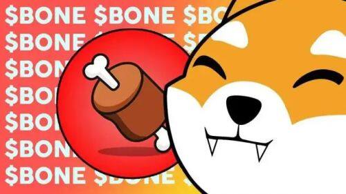 什么是Bone ShibaSwap(BONE)币-第1张图片-欧意易下载