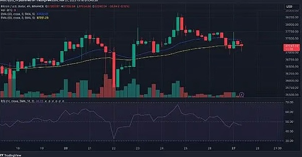 80%的BTC钱包都赚了，比特币真的进入新牛市了？-第6张图片-欧意易下载