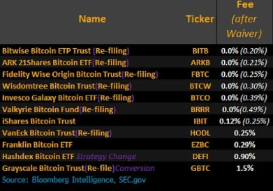 美SEC批准11只比特币现货ETF！-第3张图片-欧意易下载