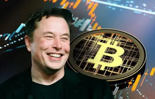 马斯克谈比特币和货币-第1张图片-欧意易下载