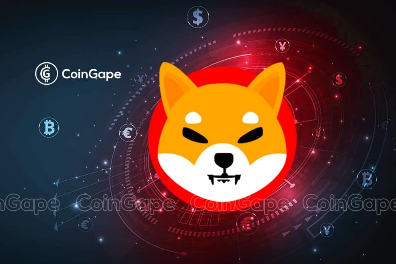 Shiba Inu首席开发人员推出SHIB名称服务的早期访问权限-第1张图片-欧意易下载